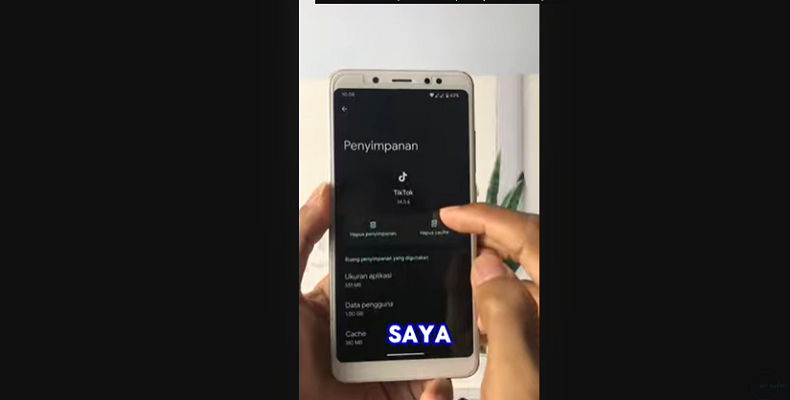 hapus data tanpa hilang akun tiktok